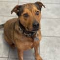 Photo of Sundae