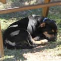 Photo of Zeus