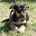 Photo of Zeus