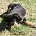 Photo of Zeus