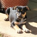 Photo of Zeus