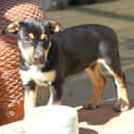 Photo of Zeus