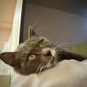 Photo of Ethel