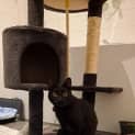 Photo of Vader