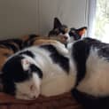 Photo of Suzi