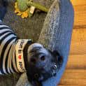 Photo of Jack