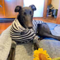 Photo of Jack