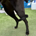 Photo of Jack