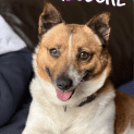 Photo of Theodore