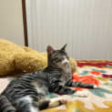 Photo of Isla