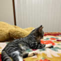 Photo of Isla