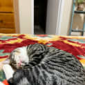 Photo of Isla