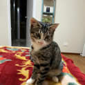 Photo of Isla