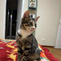 Photo of Isla