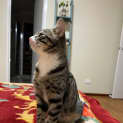 Photo of Isla