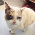 Photo of Kiki