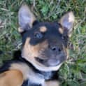 Photo of Cindy