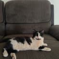 Photo of Mia