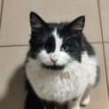 Photo of Mia