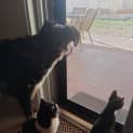 Photo of Mia
