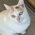 Photo of Bella