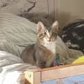 Photo of Mr Pickles