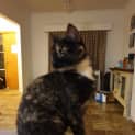 Photo of Pepper