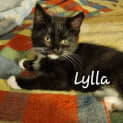 Photo of Lylla   (K8)