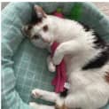 Photo of Buffy