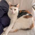 Photo of Buffy