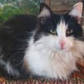 Photo of Elsie