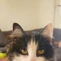Photo of Elsie