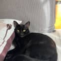 Photo of Maurice