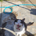 Photo of Missy