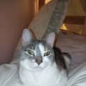 Photo of Octavia