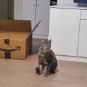 Photo of Tahlia
