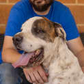 Photo of Elliot