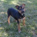Photo of Kira