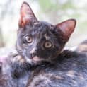 Photo of Lisette