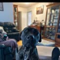 Photo of Bruce