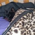 Photo of Missy