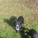 Photo of Hershey