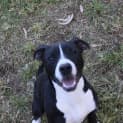 Photo of Hershey