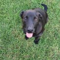 Photo of Maverick