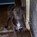 Photo of Maverick