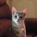 Photo of Luna