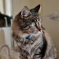 Photo of Snug