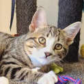 Photo of Joelie