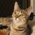 Photo of Leif