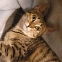 Photo of Leif